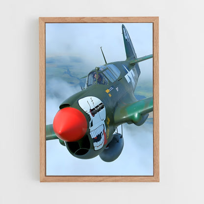 ap-p-40 warhawk-1 cadre Bois clair