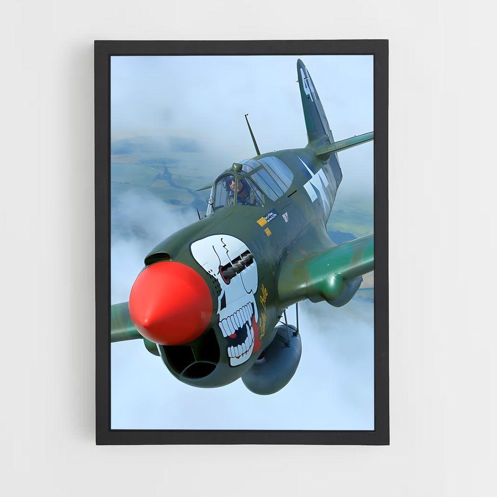 ap-p-40 warhawk-1 cadre Noir