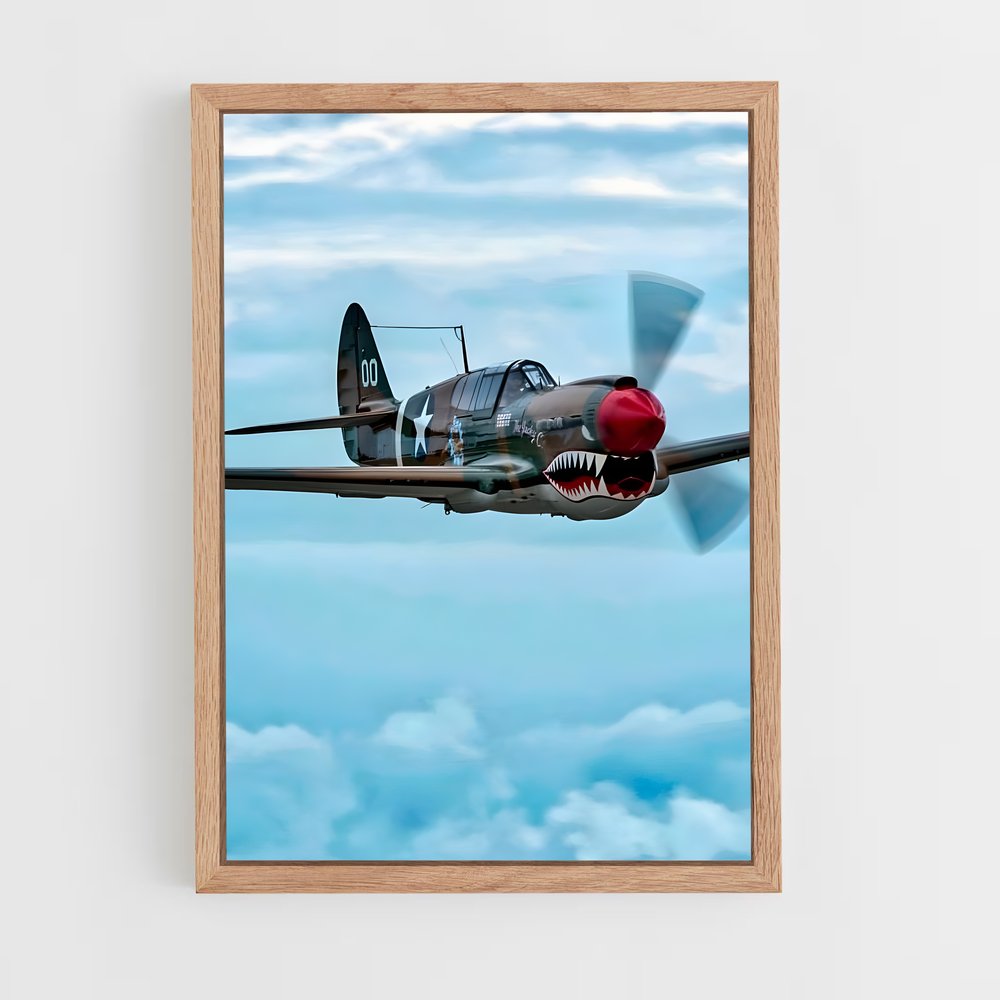 ap-p-40 warhawk-2 cadre Bois clair