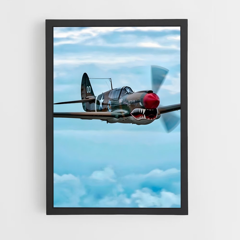 ap-p-40 warhawk-2 cadre Noir