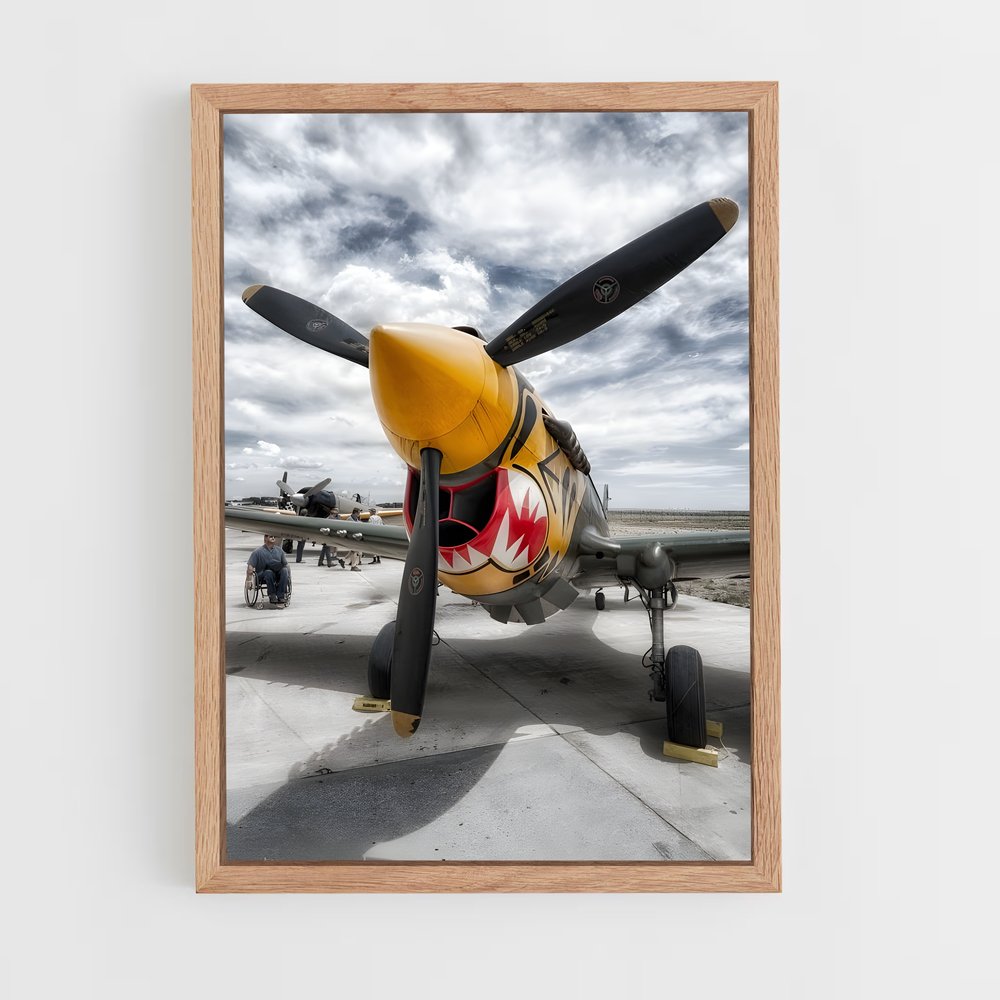 ap-p-40 warhawk-3 cadre Bois clair