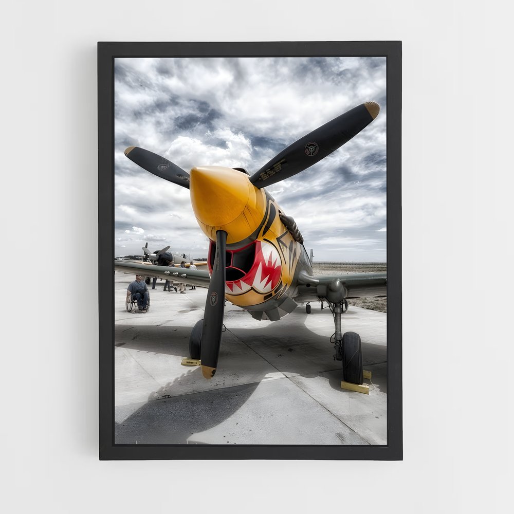 ap-p-40 warhawk-3 cadre Noir