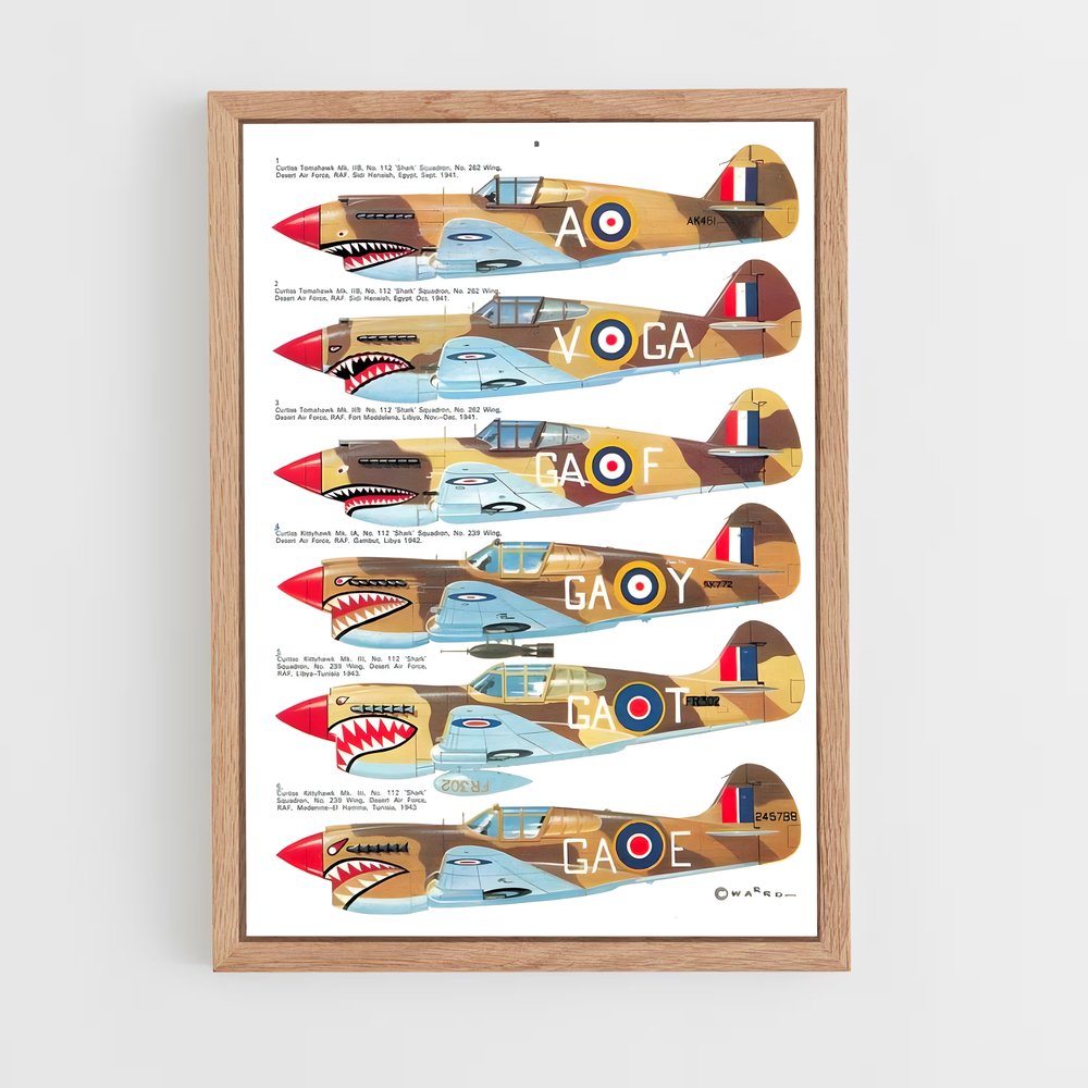 ap-p-40 warhawk-4 cadre Bois clair
