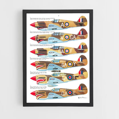 ap-p-40 warhawk-4 cadre Noir