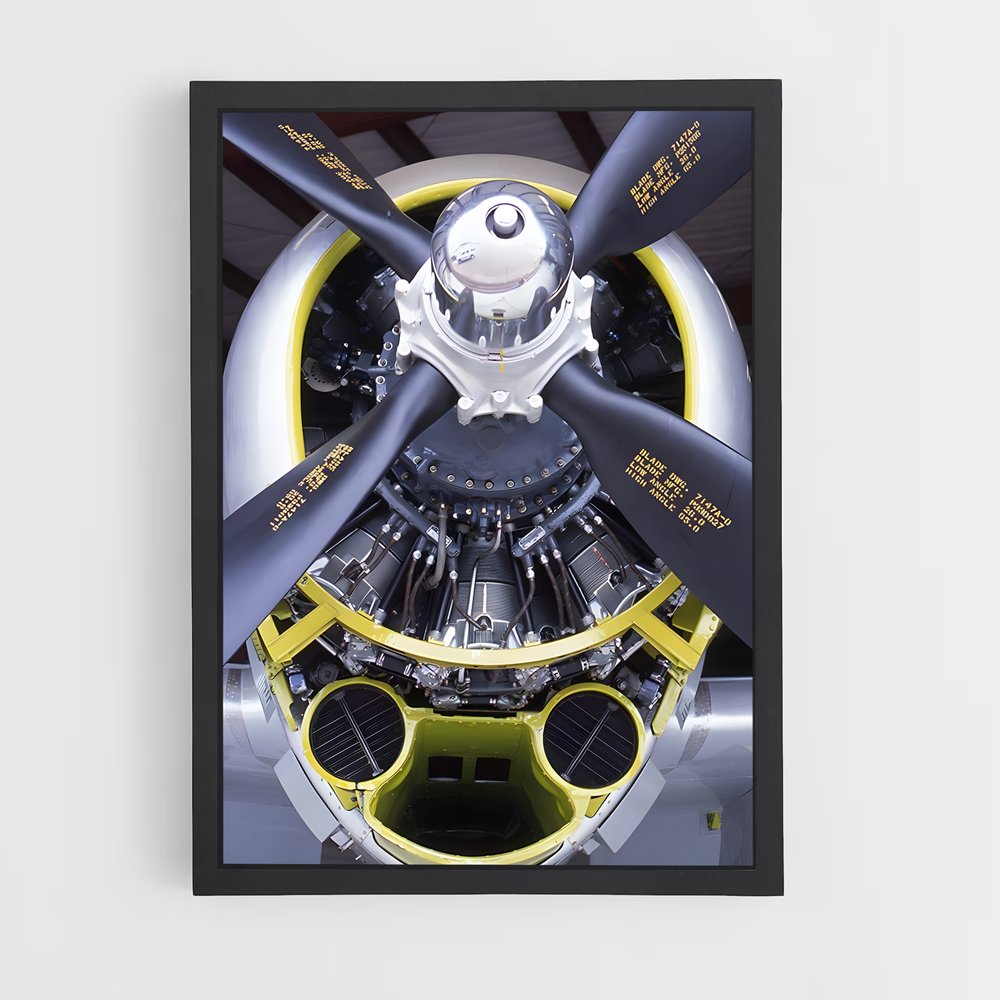 ap-p-47 thunderbolt-3 cadre Noir