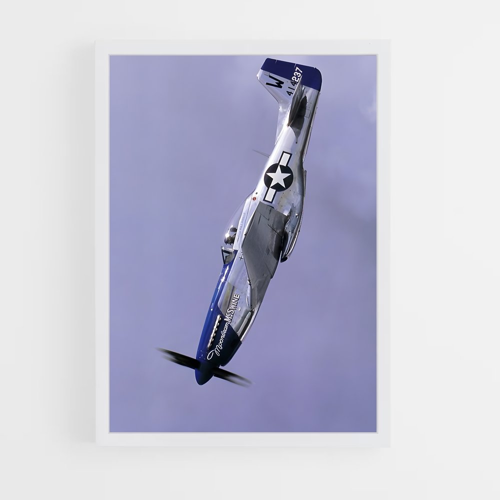 ap-p-51 mustang-1 cadre Blanc