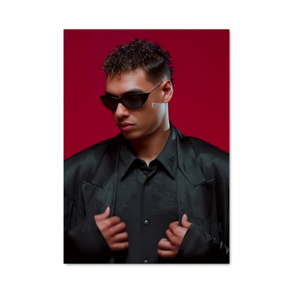 Poster Pablo veron 66129