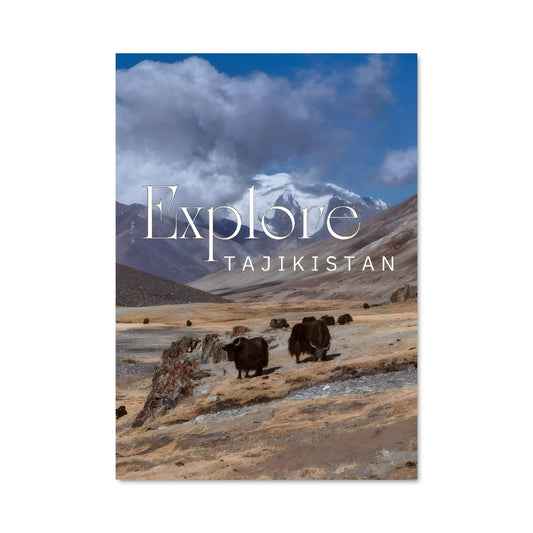 Poster Échos des Pamirs