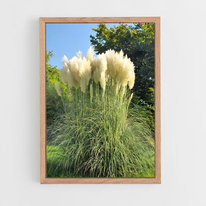 ap-pampas grass-1 cadre Bois clair