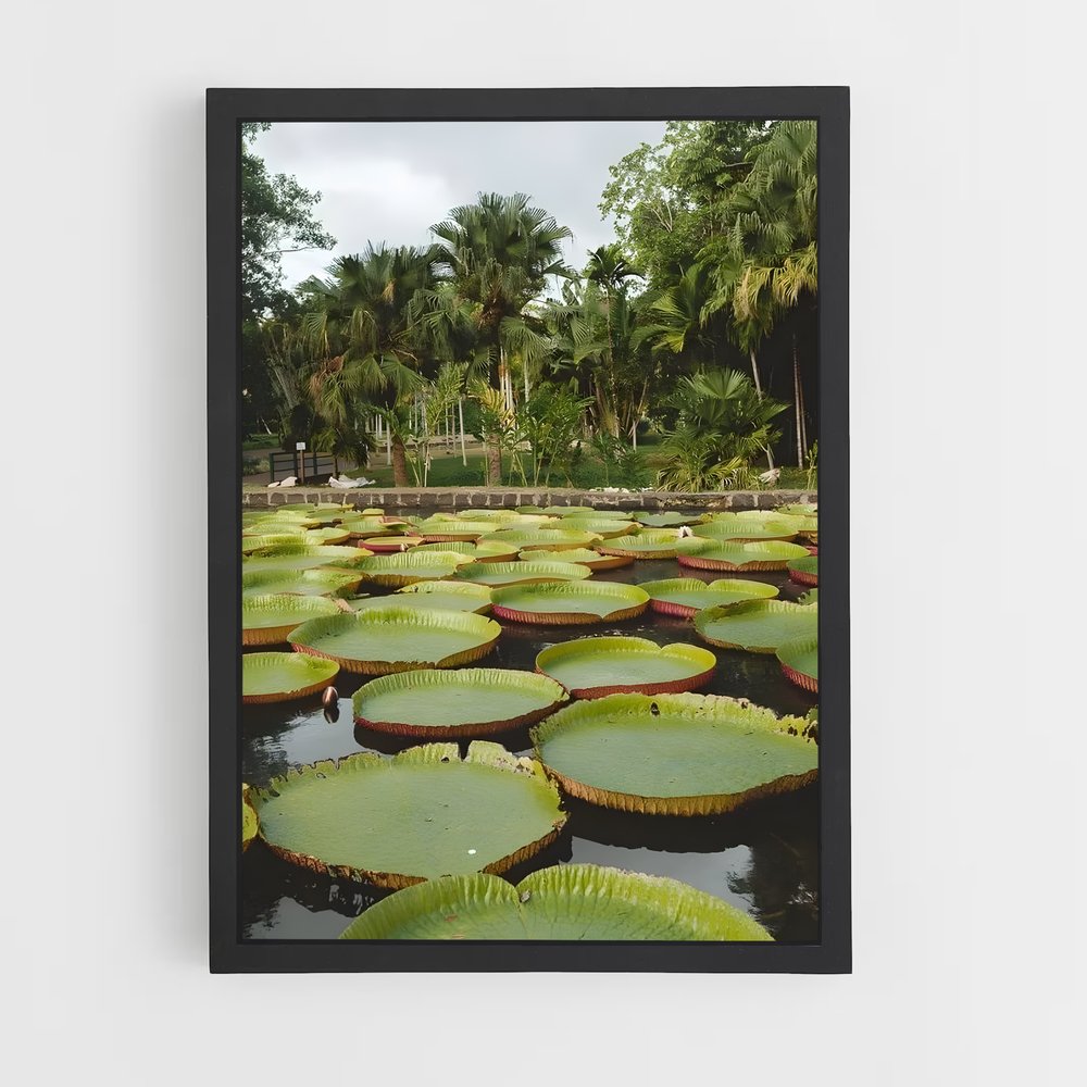 ap-pamplemousses botanical garden-3 cadre Noir