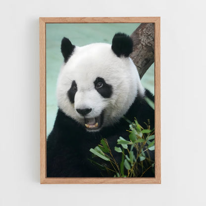 ap-panda-1 cadre Bois clair