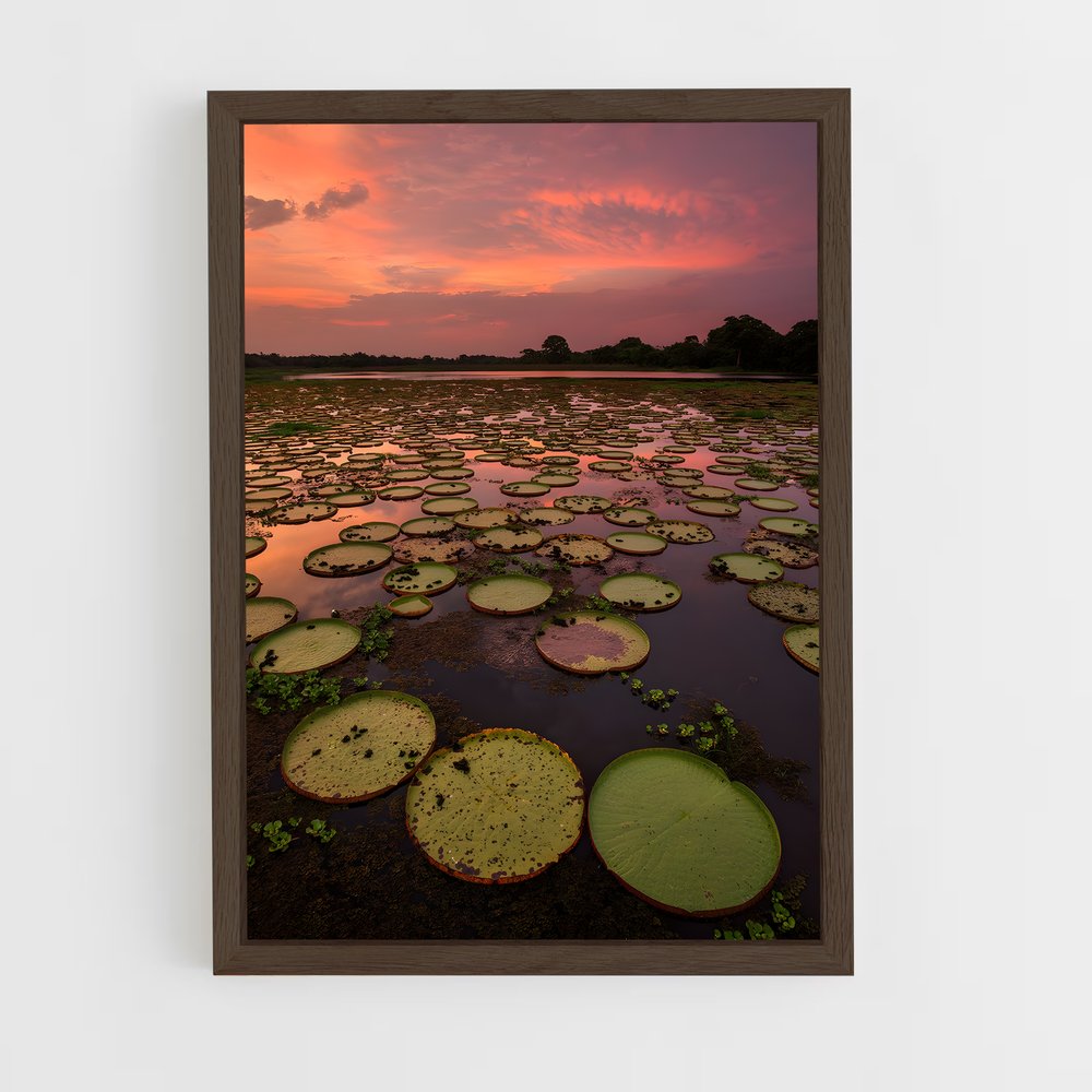 ap-pantanal-2 cadre Bois foncé