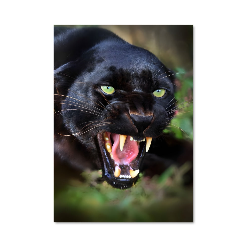 Poster L'Appel du Prédateur