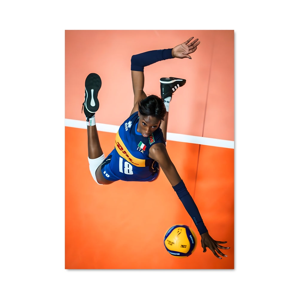 Poster Paola egonu 75011
