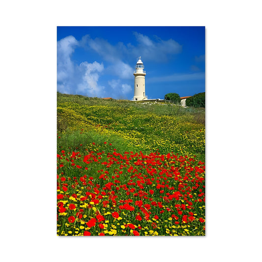 Poster Lumières de Paphos