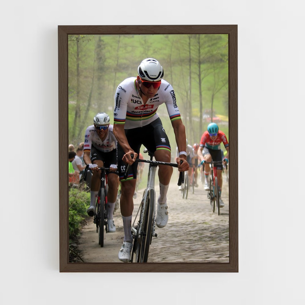 ap-paris-roubaix-3 cadre Bois foncé