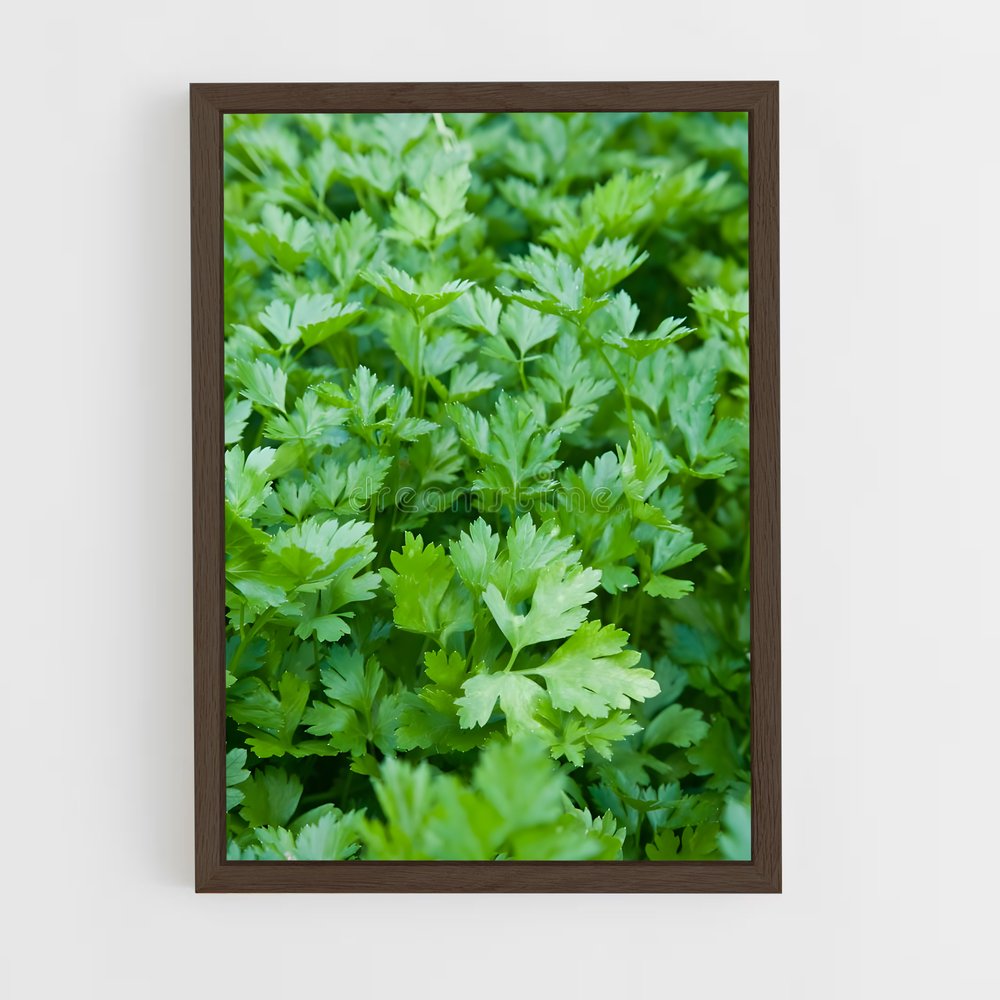 ap-parsley-4 cadre Bois foncé