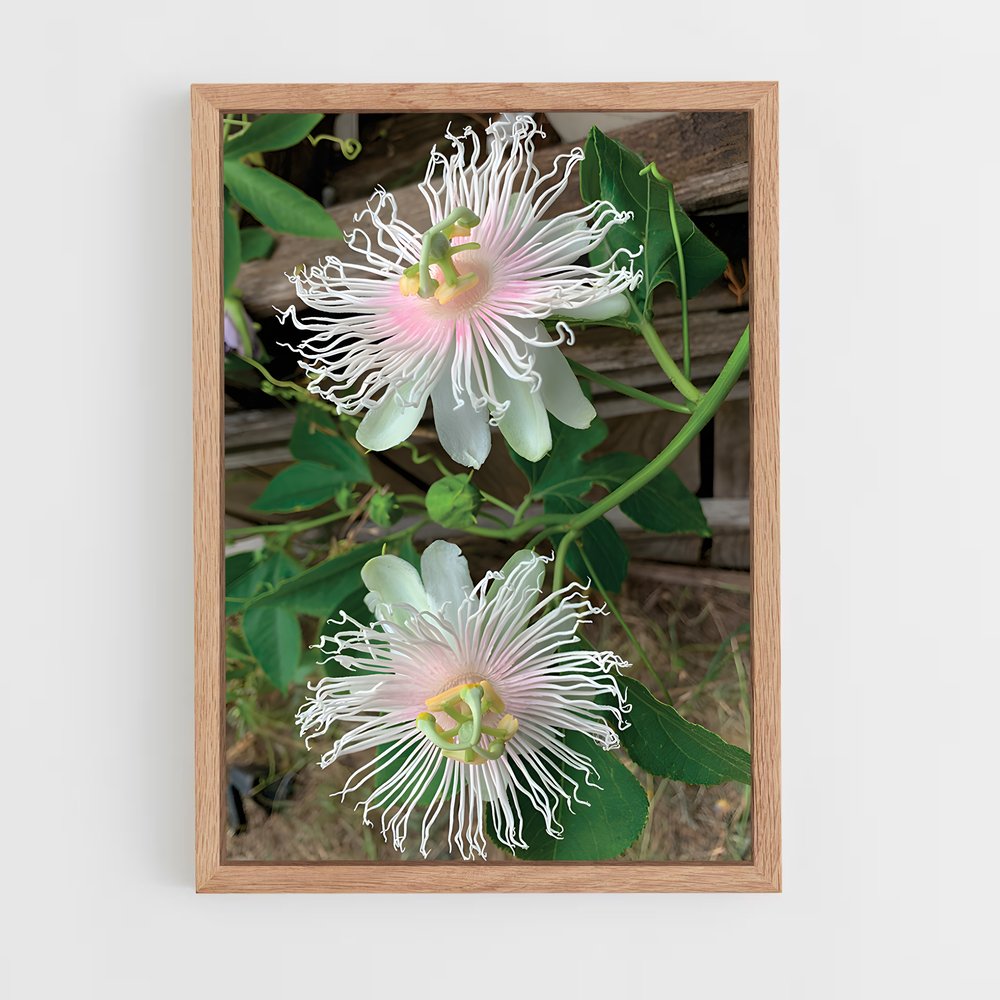 ap-passion flower-1 cadre Bois clair