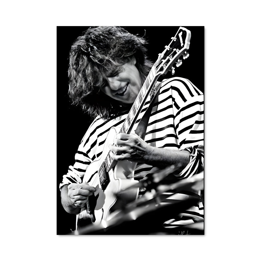 Poster Pat Metheny Live
