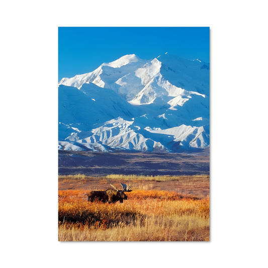 Poster L'Élan des Glaces