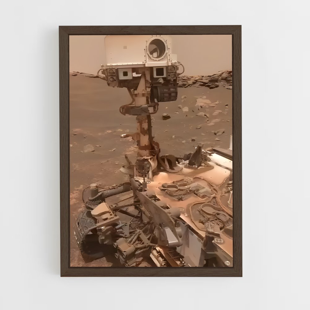 ap-perseverance rover-1 cadre Bois foncé