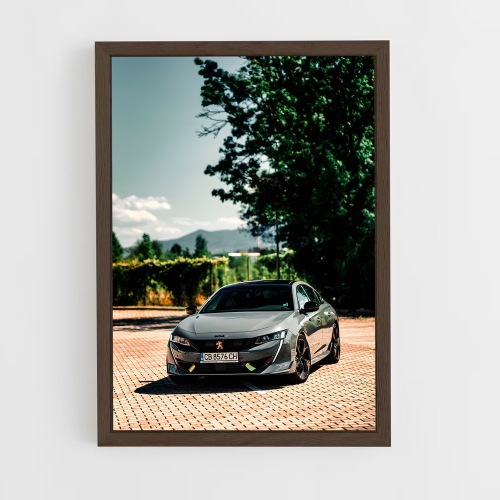 ap-peugeot-3 cadre Bois foncé