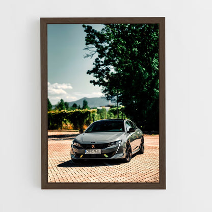 ap-peugeot-3 cadre Bois foncé