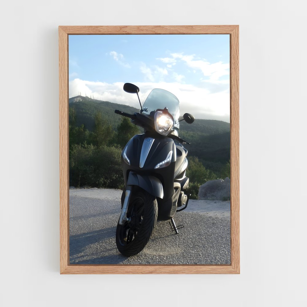 ap-piaggio beverly-2 cadre Bois clair