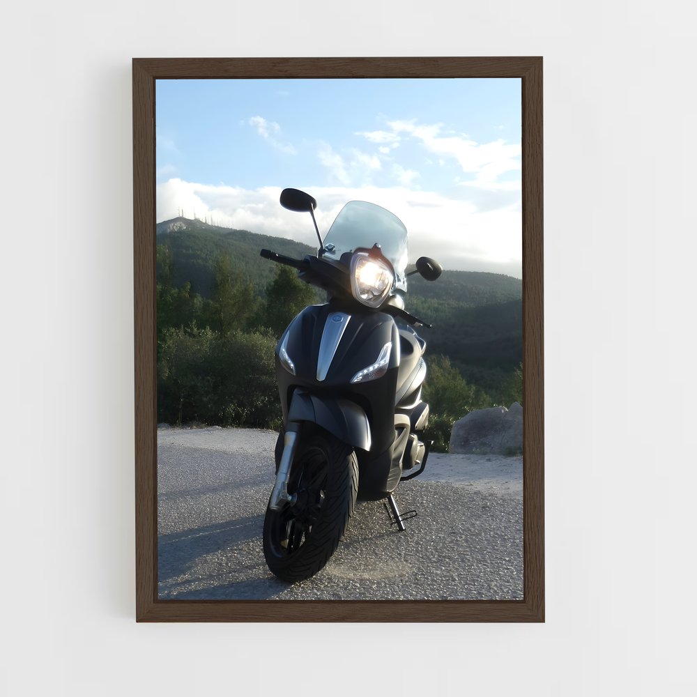 ap-piaggio beverly-2 cadre Bois foncé