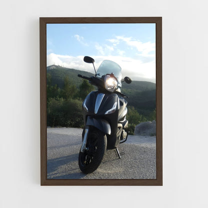 ap-piaggio beverly-2 cadre Bois foncé