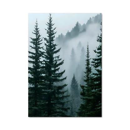 Poster Pine forest 94970