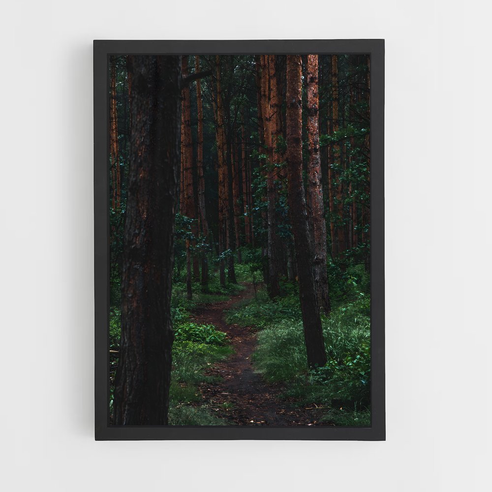 ap-pine forest-1 cadre Noir