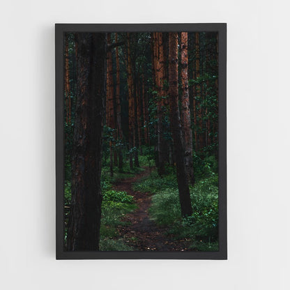 ap-pine forest-1 cadre Noir