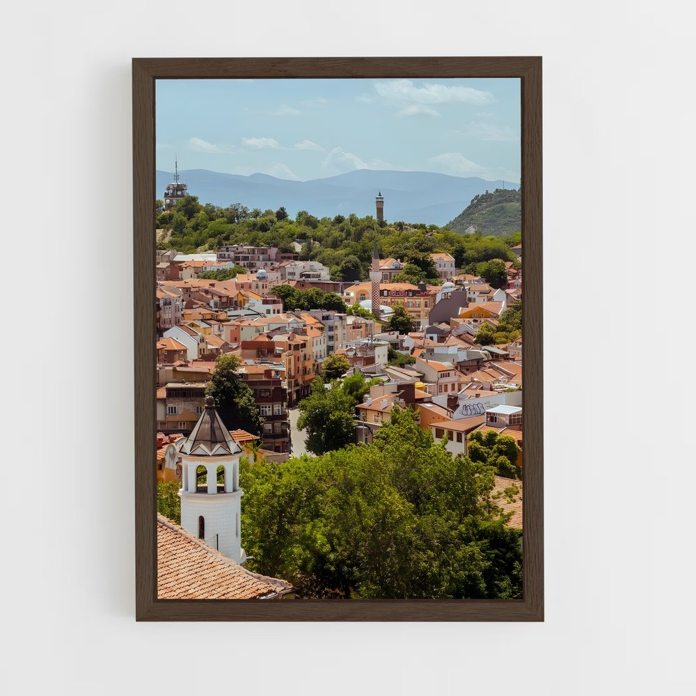 ap-plovdiv-2 cadre Bois foncé