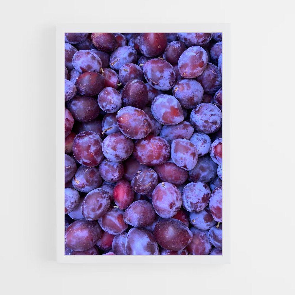 ap-plum-9 cadre Blanc