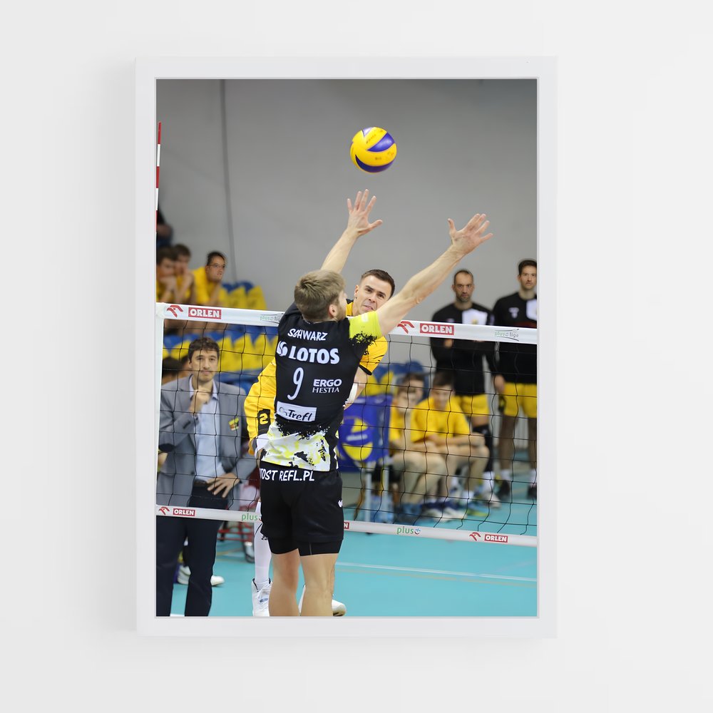 ap-plusliga poland-1 cadre Blanc