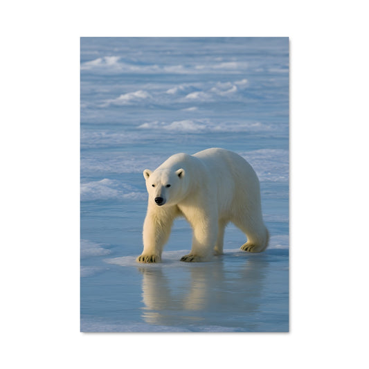 Poster Tranquillité Arctique