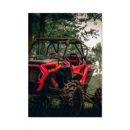 Poster Aventure Rugissante