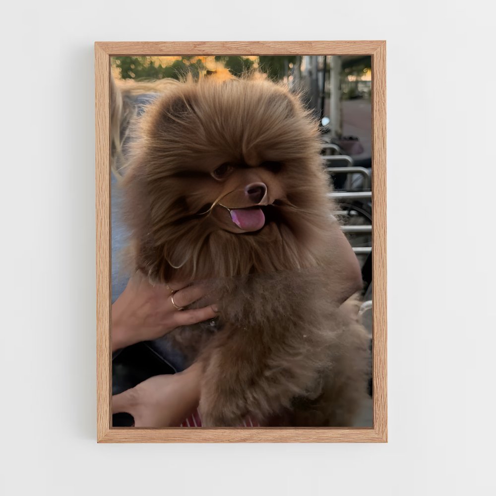 ap-pomeranian-1 cadre Bois clair