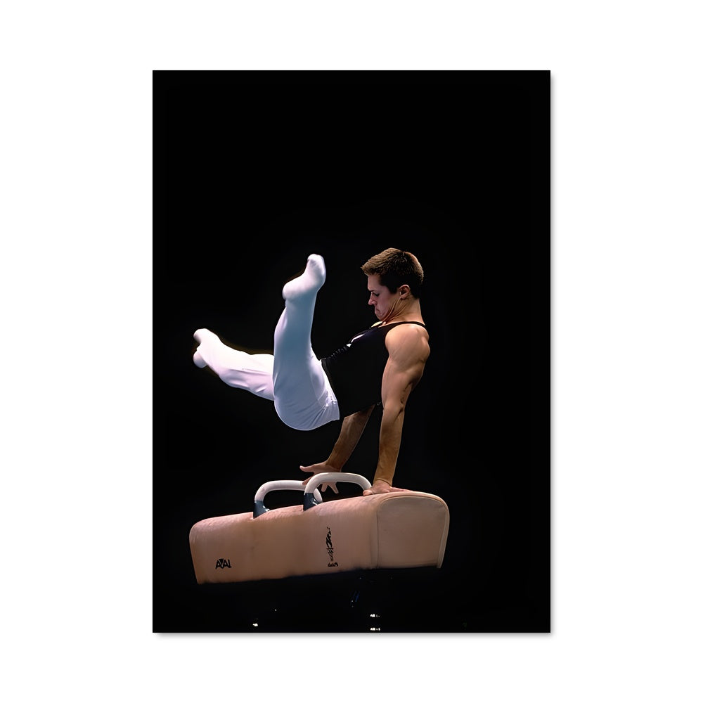 Poster Pommel horse gymnastics 66637