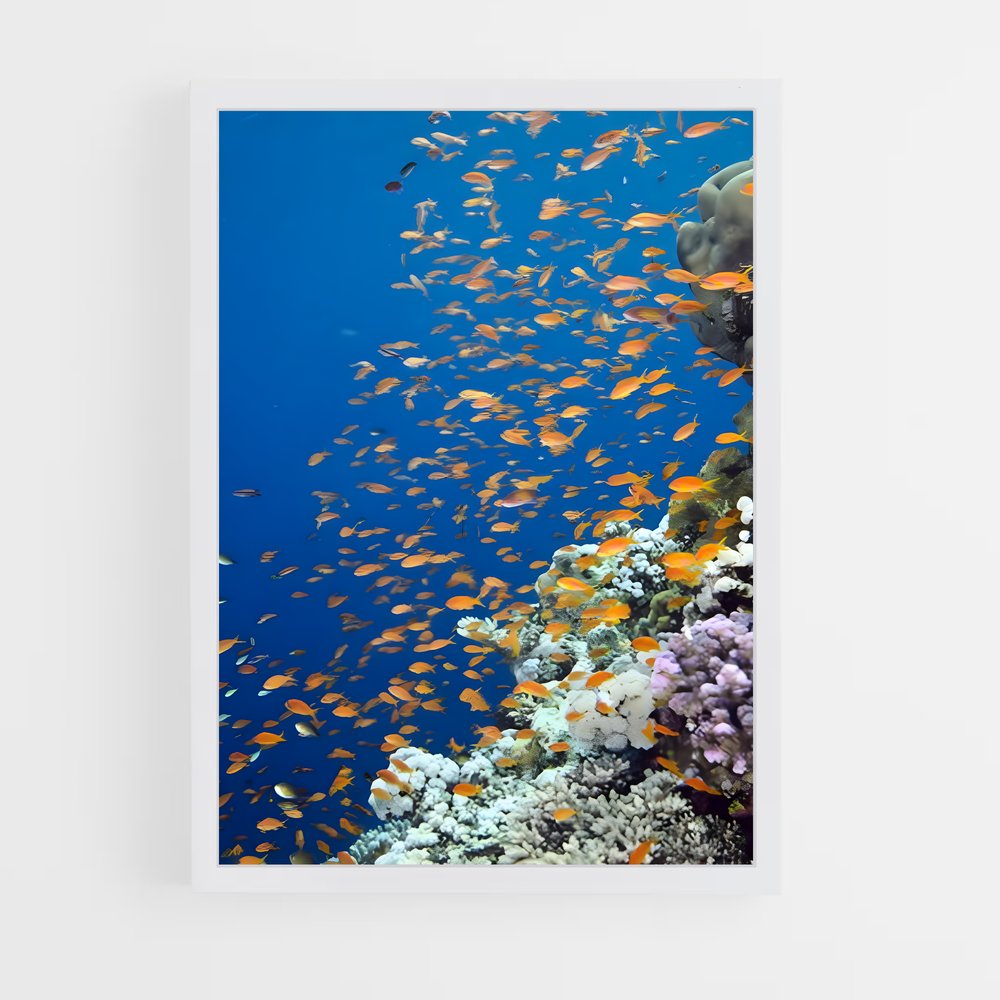 ap-port sudan-1 cadre Blanc