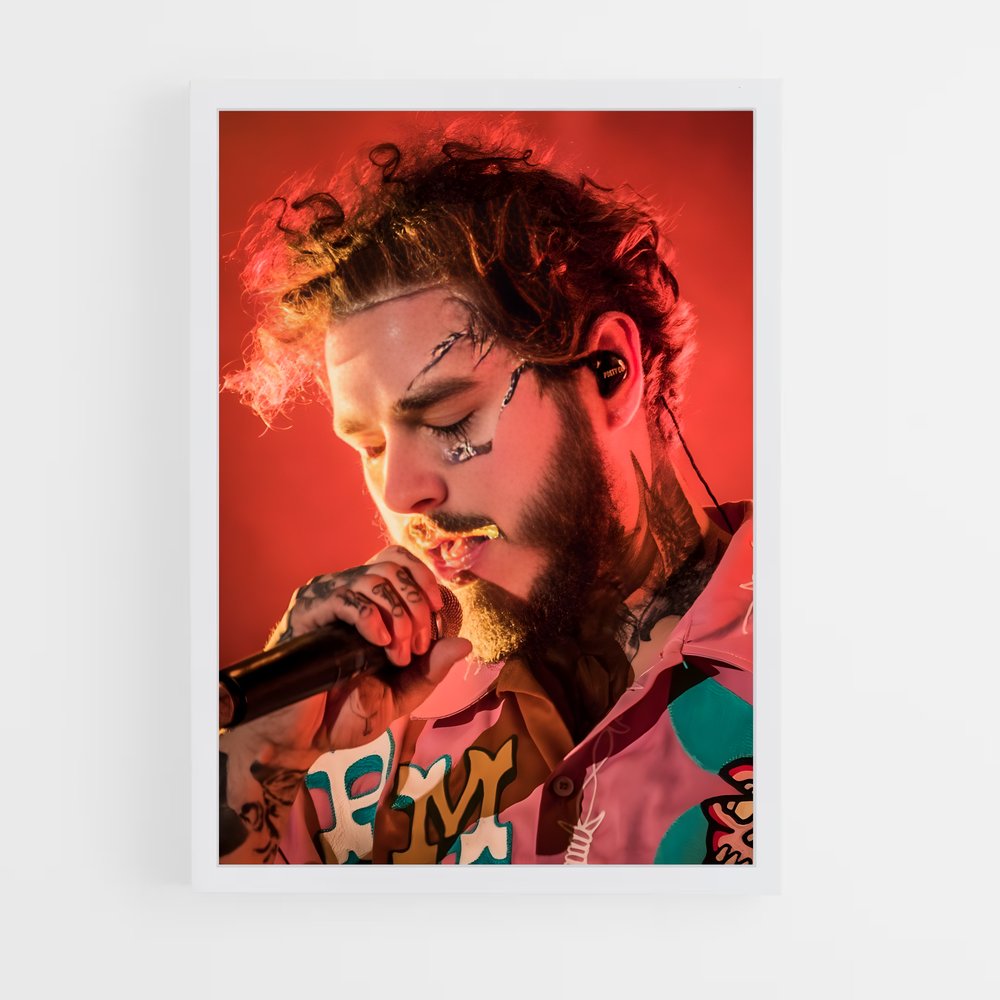 ap-post malone-2 cadre Blanc