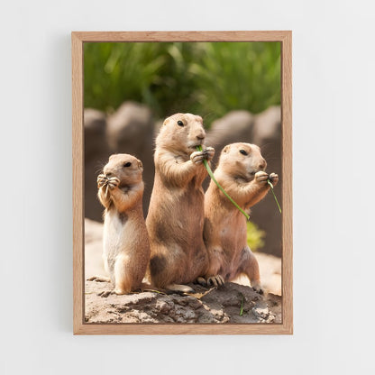 ap-prairie dog-2 cadre Bois clair