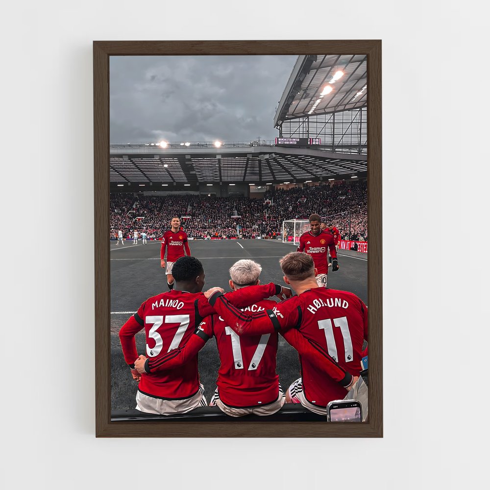 ap-premier league-2 cadre Bois foncé