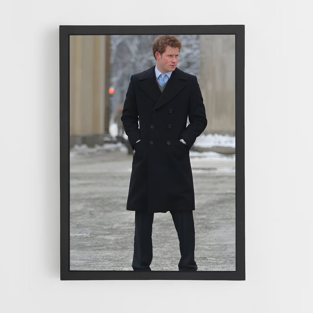 ap-prince harry-16 cadre Noir