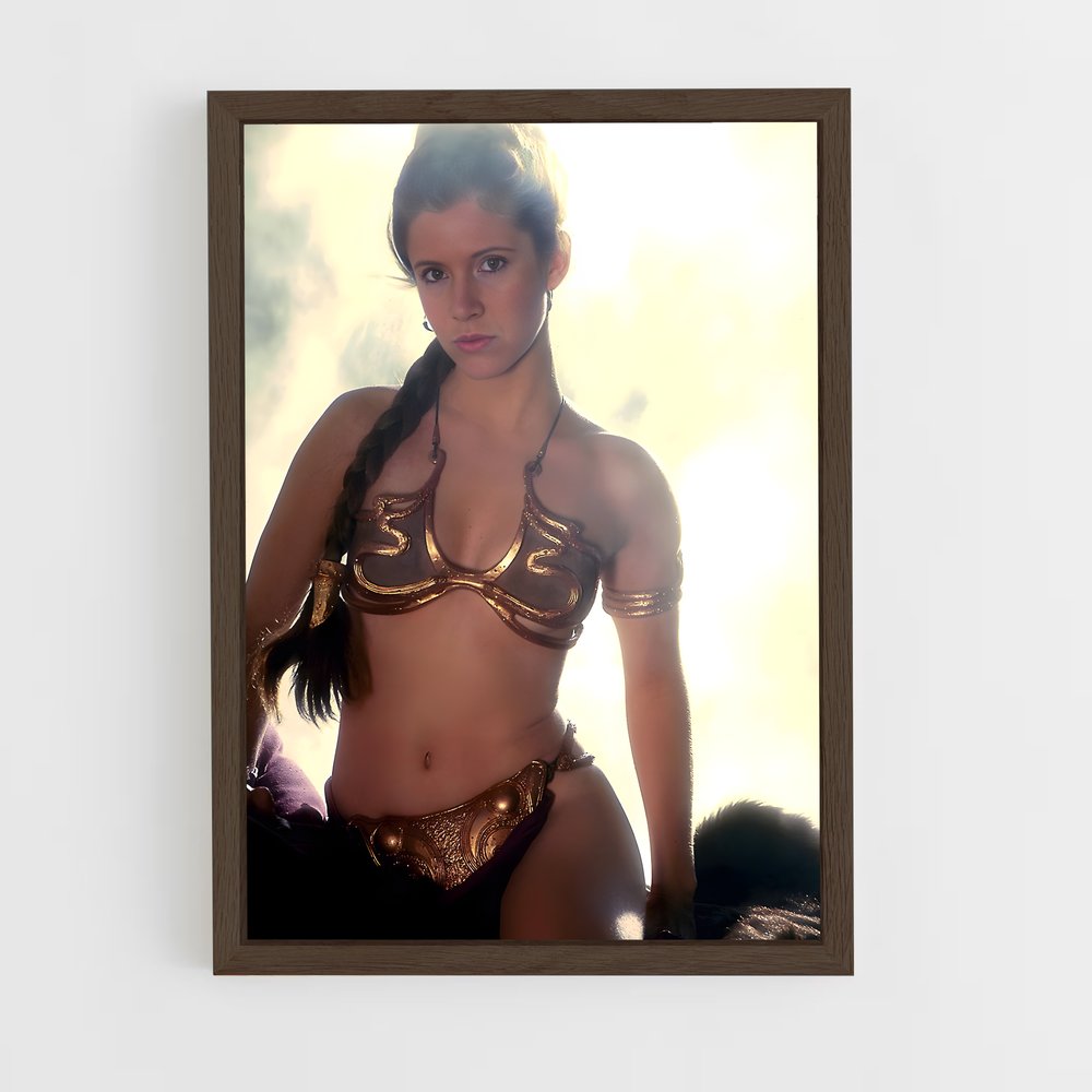 ap-princess leia-6 cadre Bois foncé