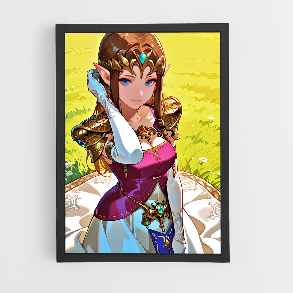 ap-princess zelda-6 cadre Noir