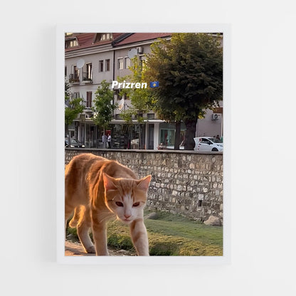 ap-prizren-4 cadre Blanc