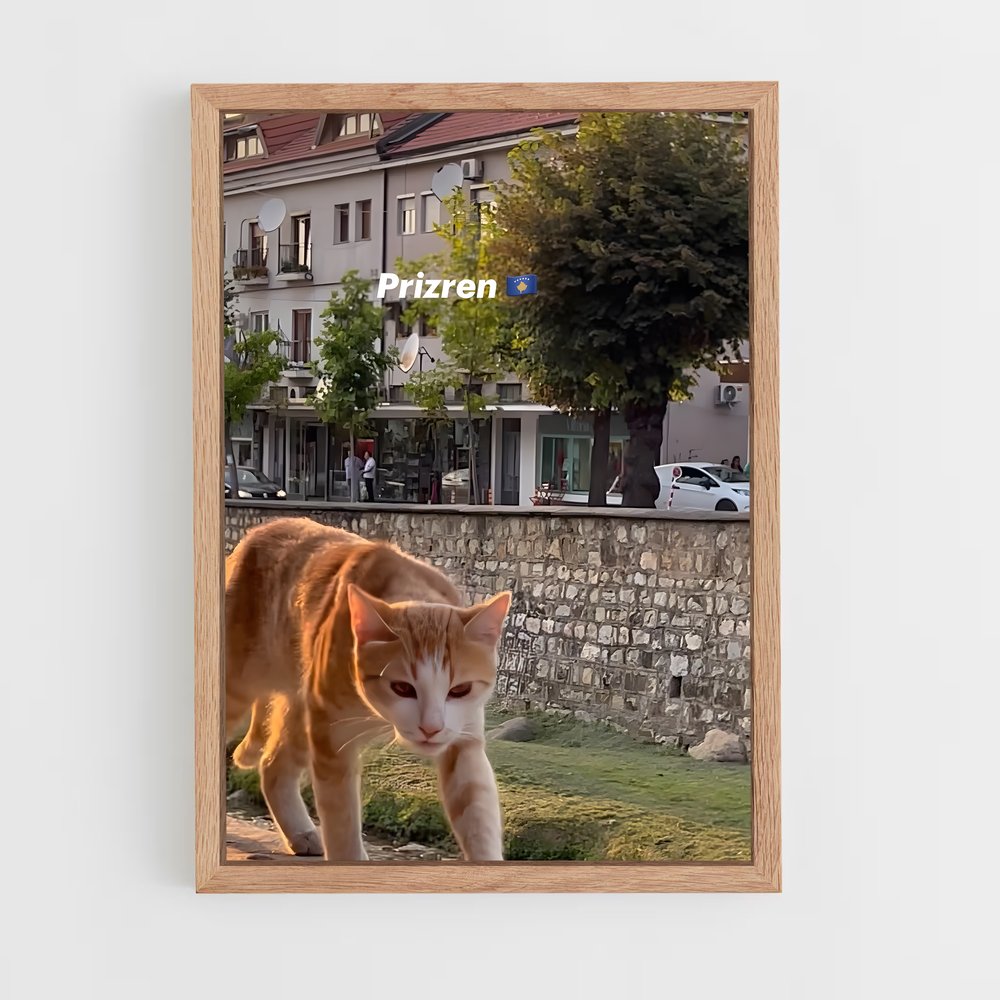 ap-prizren-4 cadre Bois clair