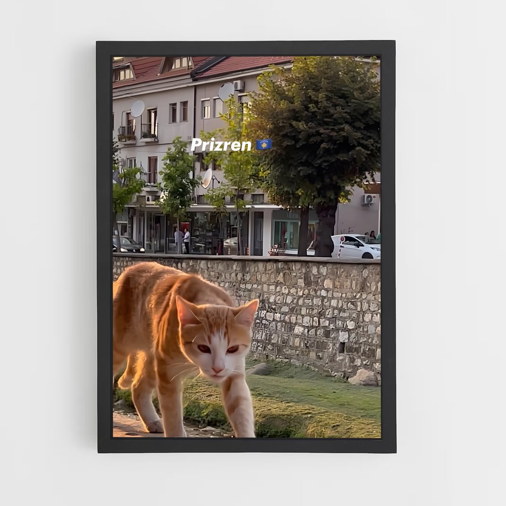 ap-prizren-4 cadre Noir